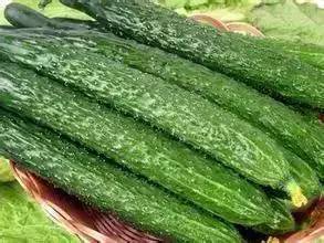 杈熻埃杩欎簺璋ｈ█浣犱俊杩囧悧,闈掔敯杈熻埃