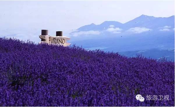 胡歌霍建华最美的场景视频,胡歌霍建华冬天游玩