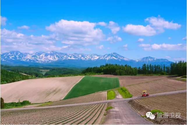 胡歌霍建华最美的场景视频,胡歌霍建华冬天游玩