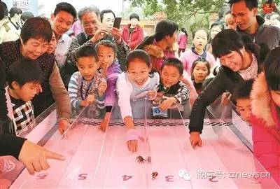 武夷山海鲜大餐,云霄红树林美食