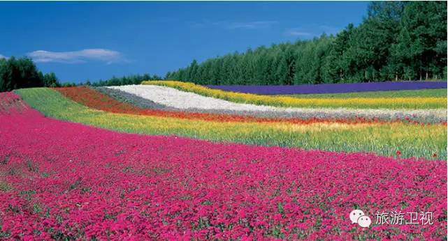 胡歌霍建华最美的场景视频,胡歌霍建华冬天游玩