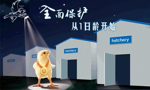 嘉云检测丨2016年6月国内禽病流行状况