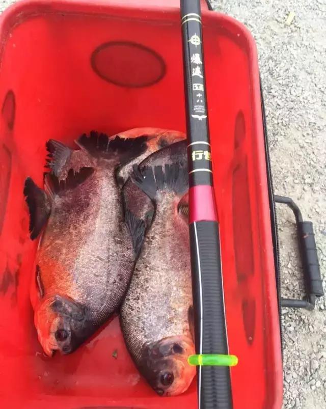 娓旇幏閽撻奔,娓旇幏鎴樻姤