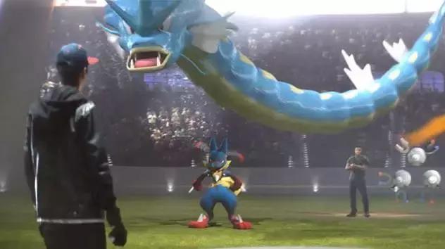 鏀惰棌鏁村紶鐗涚毊,鏀惰棌鐗涚毊