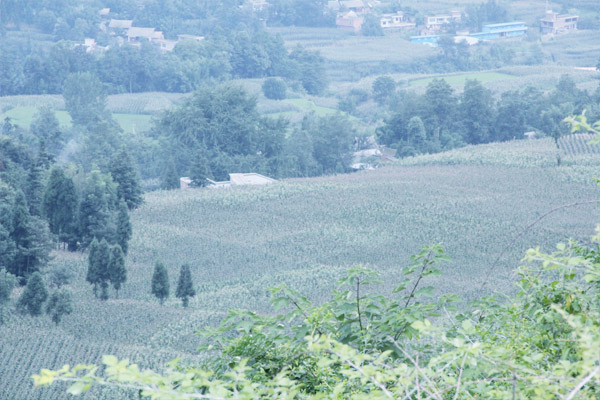 在农村创业的意义,在农村创业如何赚钱