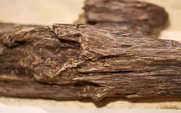 越南沉香木有什么用途,老沉香木雕刻摆件的特征鉴别