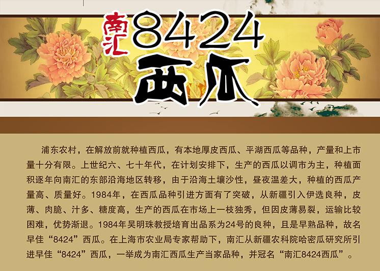 8424西瓜可以盆栽种植吗,露天8424西瓜种植全过程