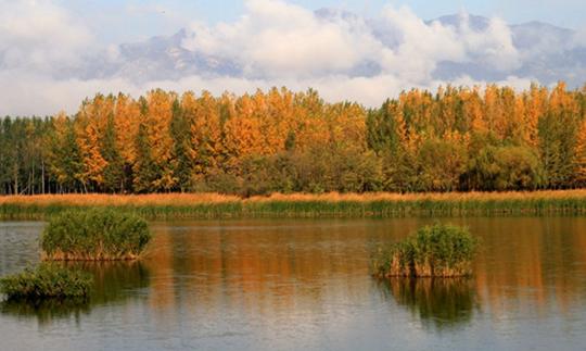 跟着电影去旅行日本,跟着电影去旅行推荐