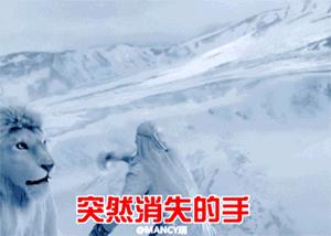 除了美瞳和发套，《幻城》就剩下幻觉了