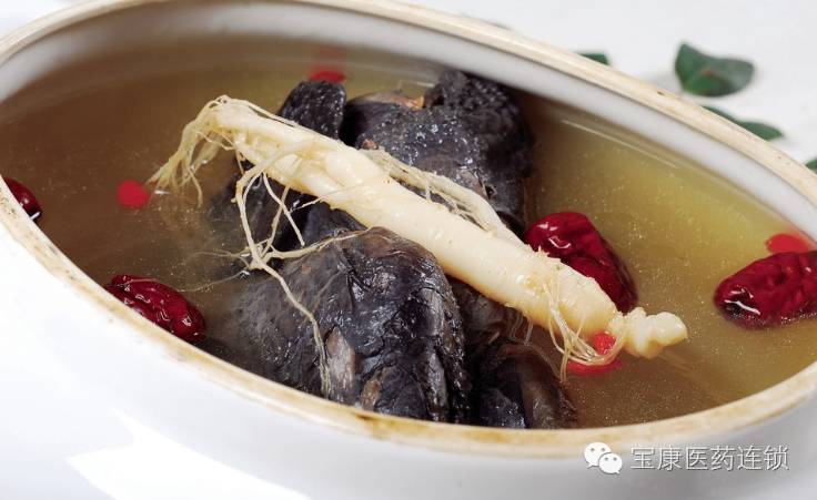 阴虚气血不足用什么食物补来得快,女性脾胃虚弱气血不足吃什么食物