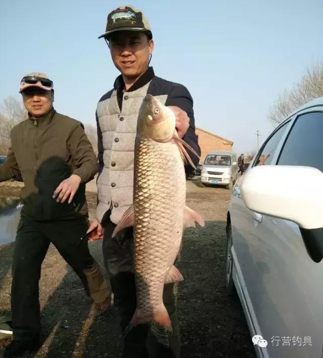 一入钓鱼深似海,一入黑坑