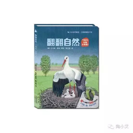 下雨天最适合带孩子做什么？坐在窗前看雨听故事（下雨主题绘本）