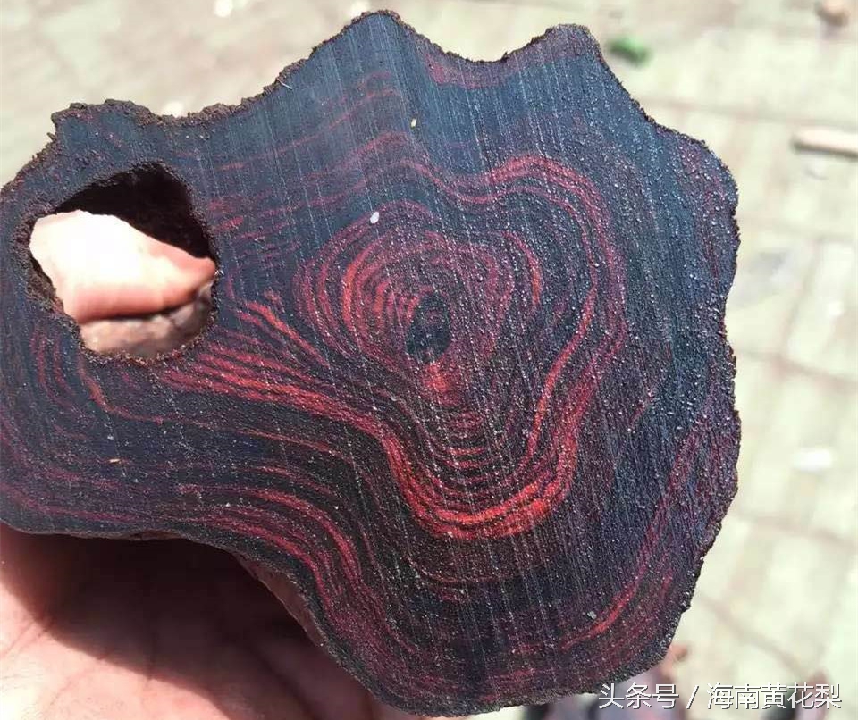 海南黄花梨老料欣赏,海南黄花梨老料还有多少