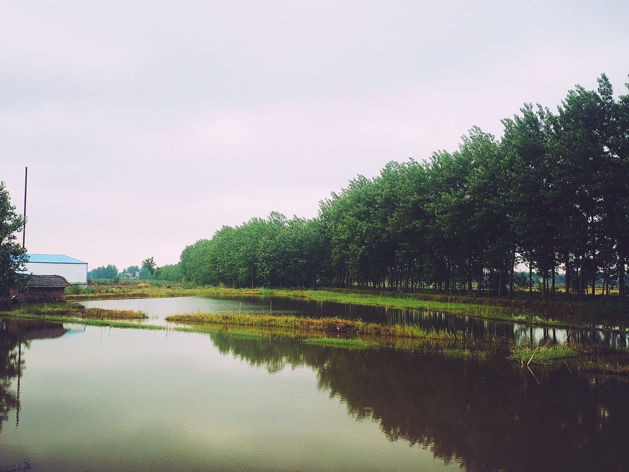 以科技创新驱动健康食品行业变革,以科技颠覆行业