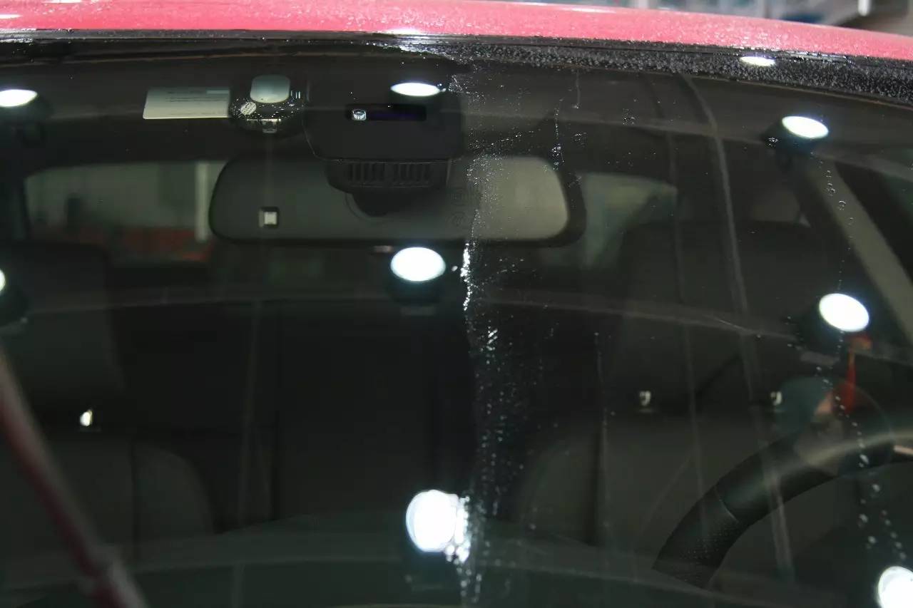 好不容易挺过大雨，还不学乖！赶紧看看你现在真的很需要！