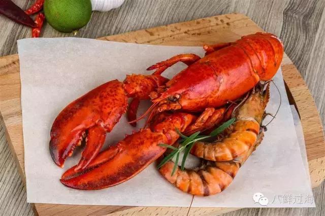 人气直追小龙虾的加拿大龙虾，关于它的干货都在这里