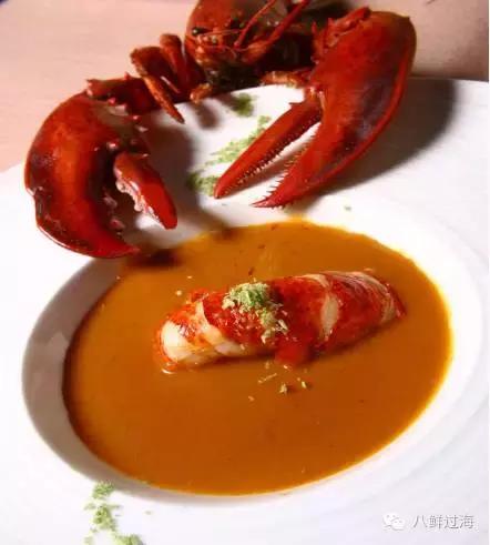 人气直追小龙虾的加拿大龙虾，关于它的干货都在这里