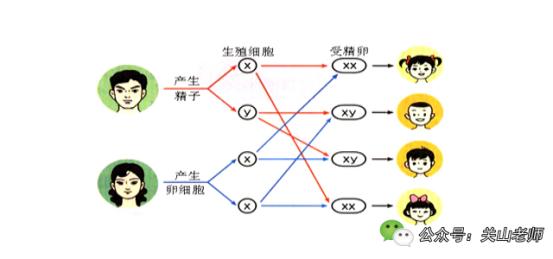 容易生男孩的六大原因,什么情况下更容易生男孩