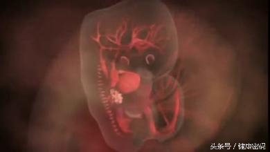 痛经不易孕有科学依据吗,女人痛经不容易受孕么