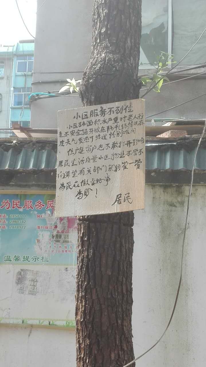 这么热的天大家都去哪玩,这么热的天大家都在干什么