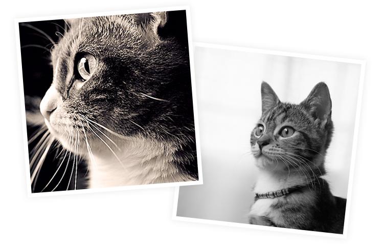 泉盛tg-k200对讲机说明书,泉盛对讲机tg-k200