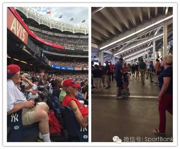 门票2.3亿美元超NBA湖人队总收入,美国MLB扬基队究竟有多火?|体银美国游学系列