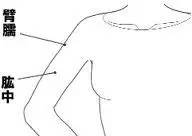 蜜桃臀瑜伽怎么练,10个简单瑜伽动作帮你提升气质