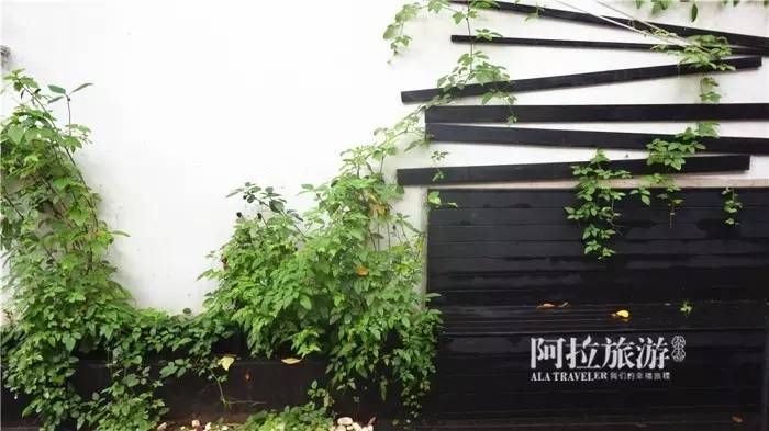 宁波最新的秘密小众街区，这里最适合浪费时间！