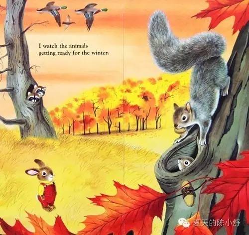 吃饱睡足做什么？告别干瞪眼，7项宝宝最爱的开智运动玩起来！|新父母学堂