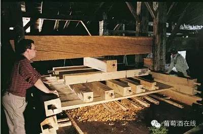 瑗跨彮鐗欒嫻鏋滈厭,瑗跨彮鐗欓樋鏂浘閲屼簹鏂嫻鏋滈厭