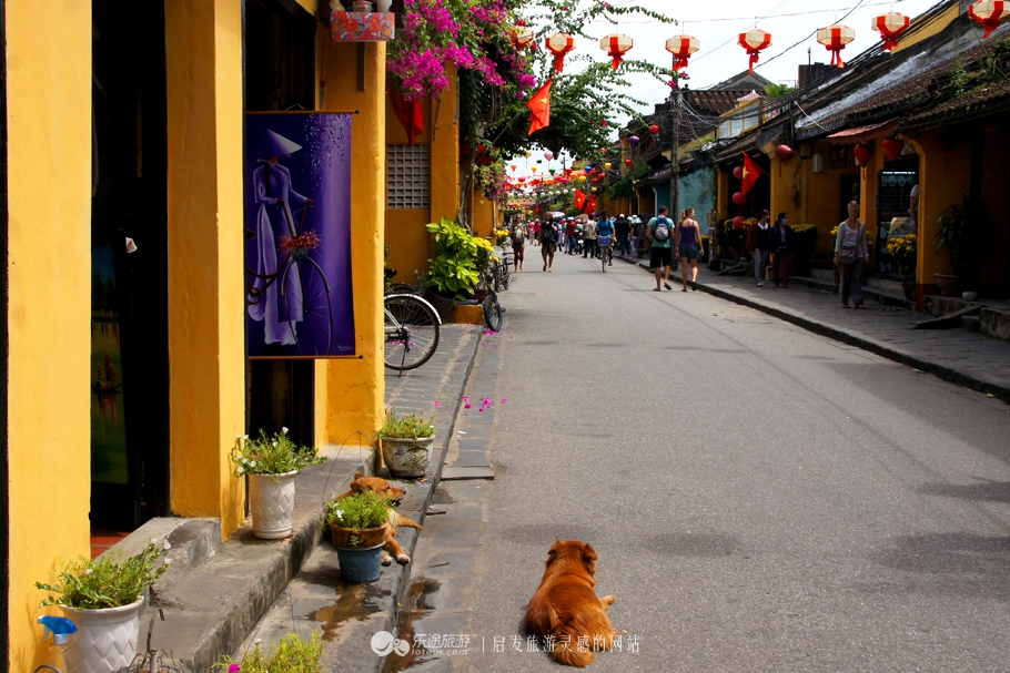 越南会安古镇有多强,越南会安古城美景