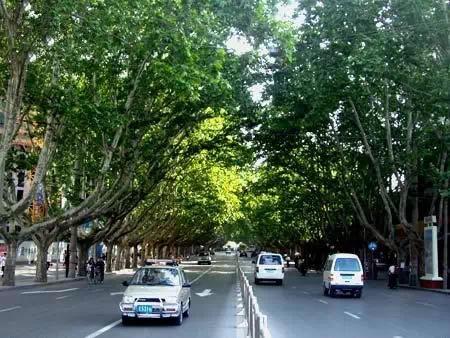 没有雾霾天的郑州还是挺美的