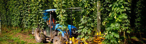 探索|澳洲啤酒的前世今生