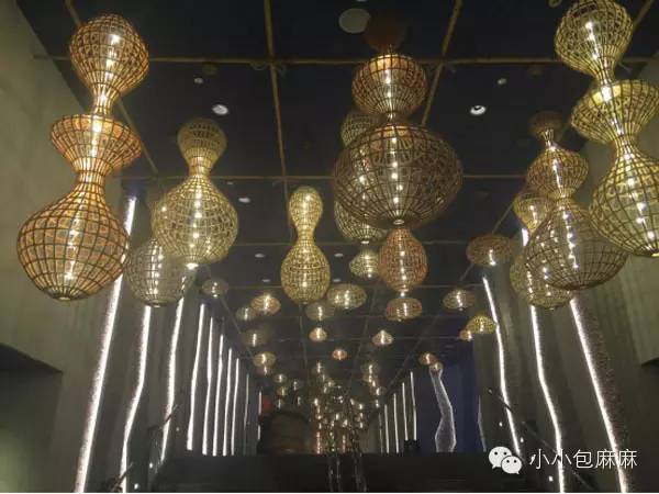 珠海长隆动物园游记,游记长隆动物园