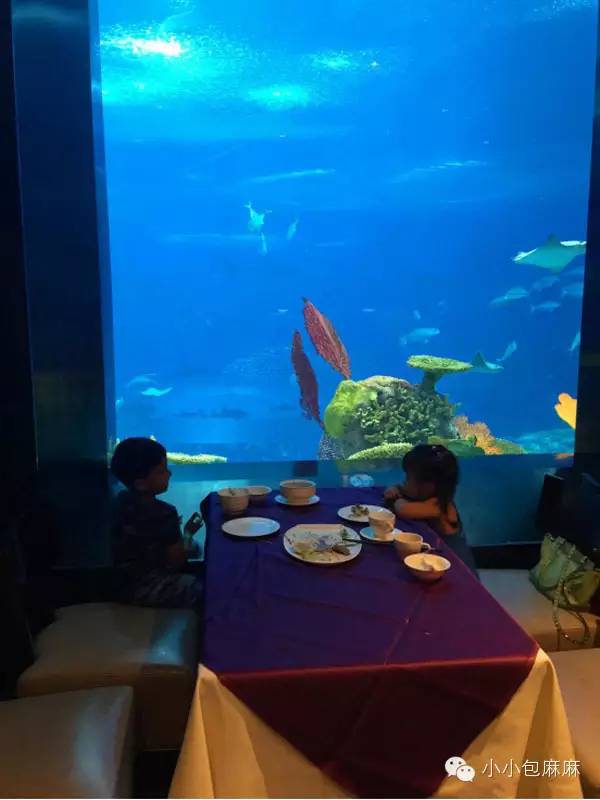 珠海长隆动物园游记,游记长隆动物园