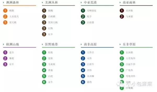 珠海长隆动物园游记,游记长隆动物园