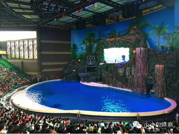 珠海长隆动物园游记,游记长隆动物园