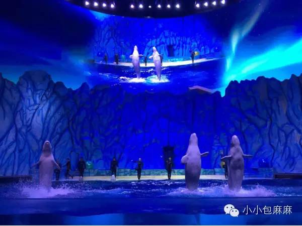 珠海长隆动物园游记,游记长隆动物园