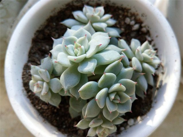 超强续航华为,超级续航6000毫安