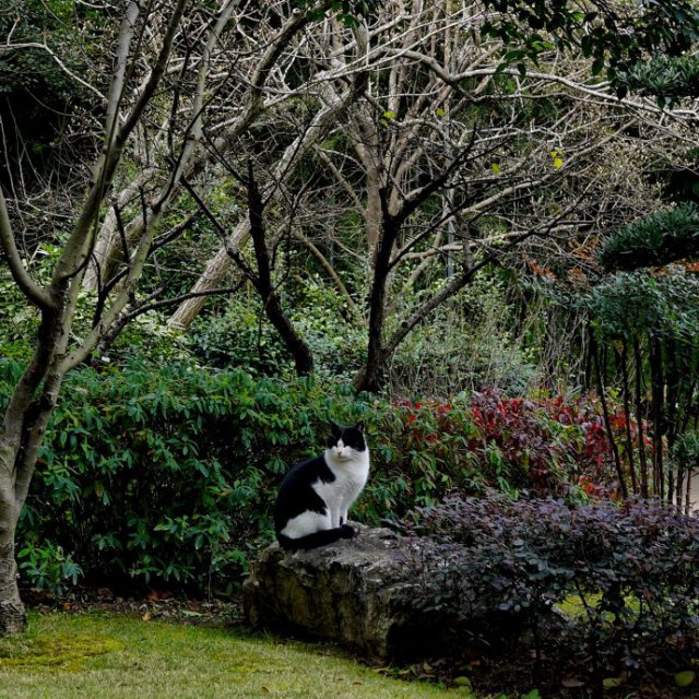 探索上海,上海西郊宾馆地址
