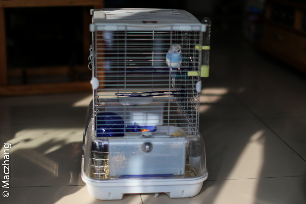 哈根笼子设计,鹦鹉笼设计图