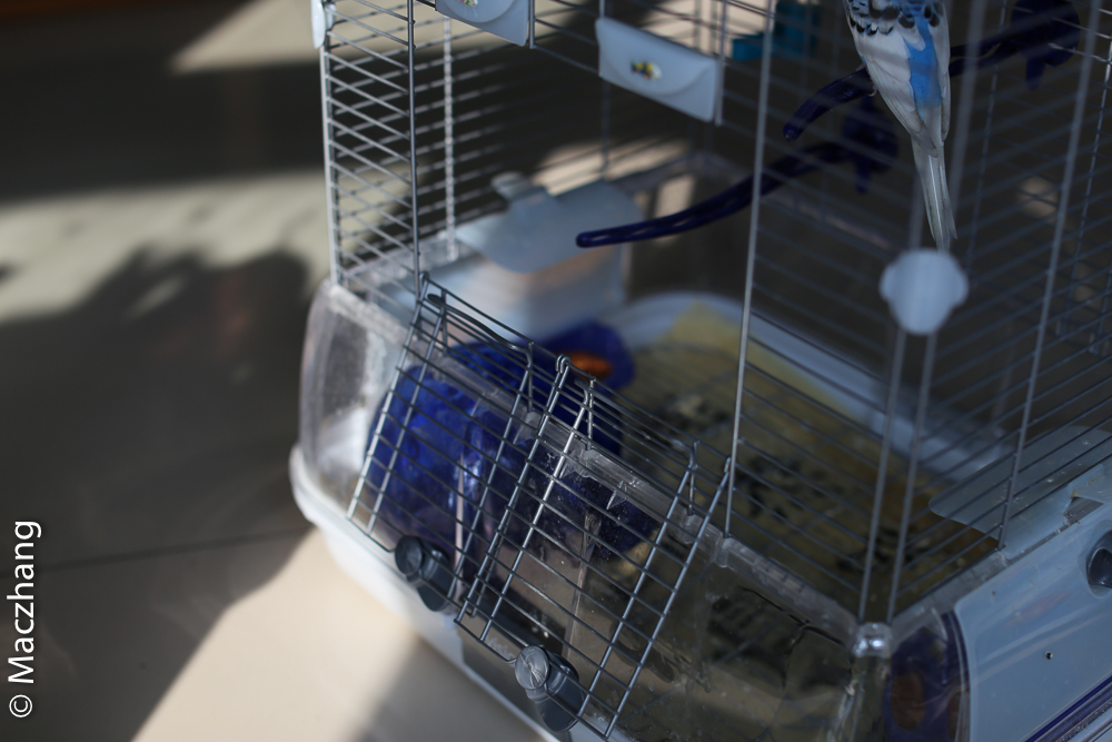 哈根笼子设计,鹦鹉笼设计图