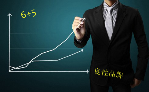 2016年是电动车行业的腊月吗？谁是华南6+5模式中的6？