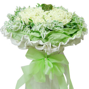 118朵花这个数字有什么寓意,118种花的花语合集图片