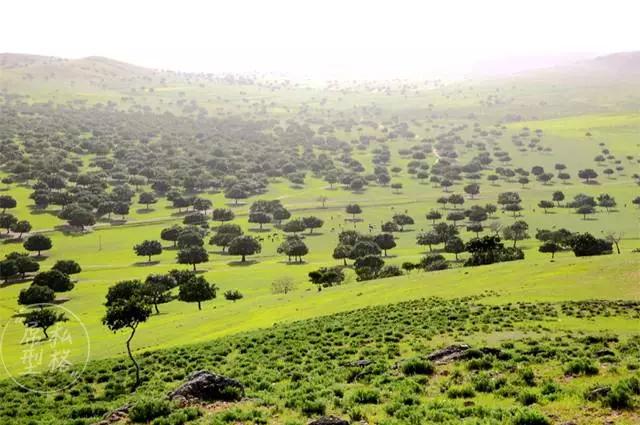 扒一扒美利坚纽约,timberland推荐款式