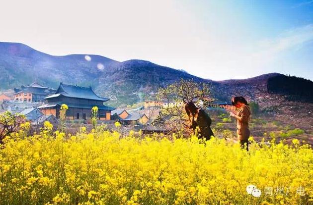 从不羡慕北上广，我在青州挺好的！