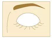 自然妆的眼影正确化妆方法,眼妆教程日常化妆没有多少睫毛