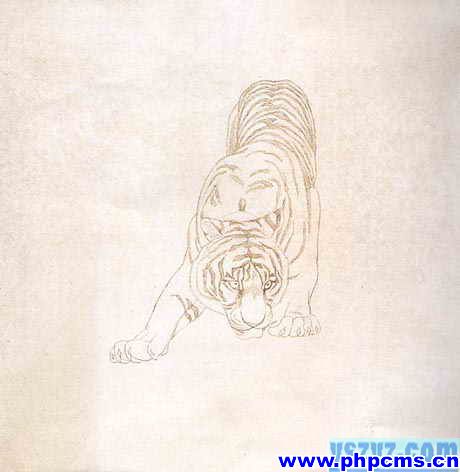 工笔虎技法,工笔虎教学