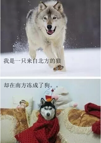 为什么冬天女生还穿丝袜,为什么冬天女人才会穿丝袜