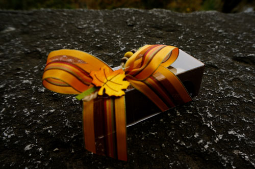 某晓易的瑞士五天四夜游